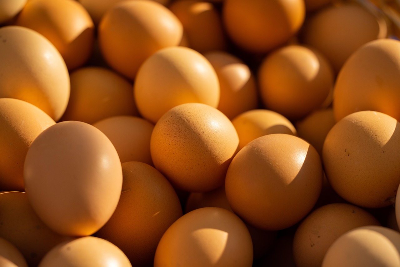 Beyond the Plate: Real-Life Strategies for Consistent Protein Intake