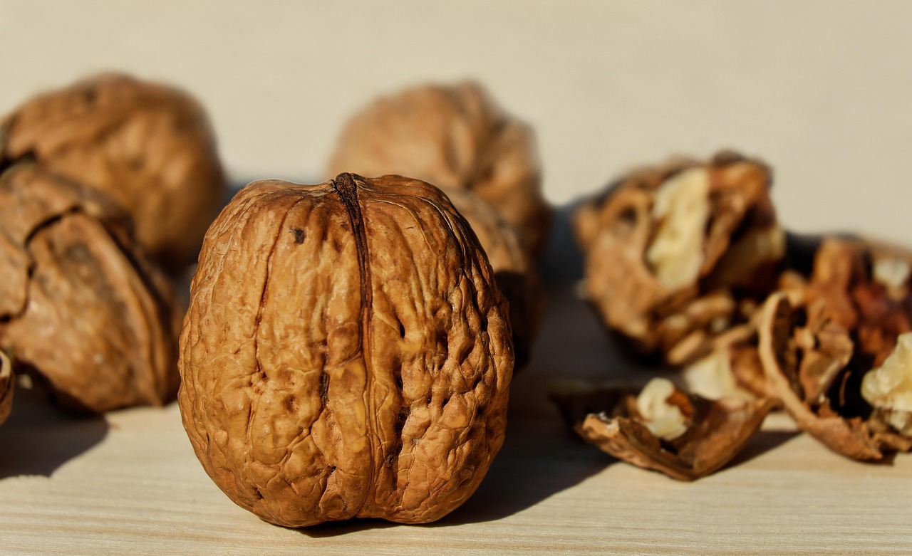 Budget-Friendly High-Protein Meals: Eating Well to Prevent Sarcopenia