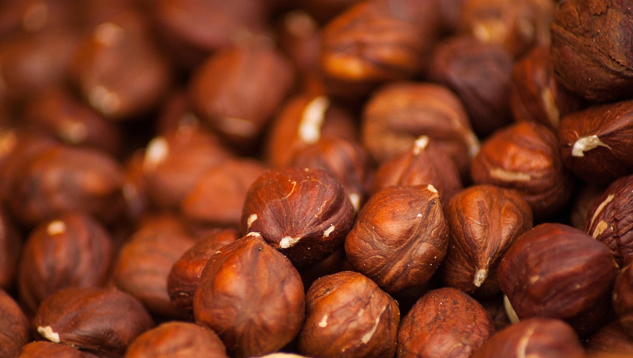 Cooking for Muscle: Simple High-Protein Recipes for Active Seniors