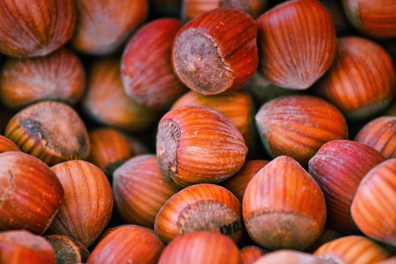 Easy High-Protein Snacks for Busy Adults: Fueling Muscles On-the-Go