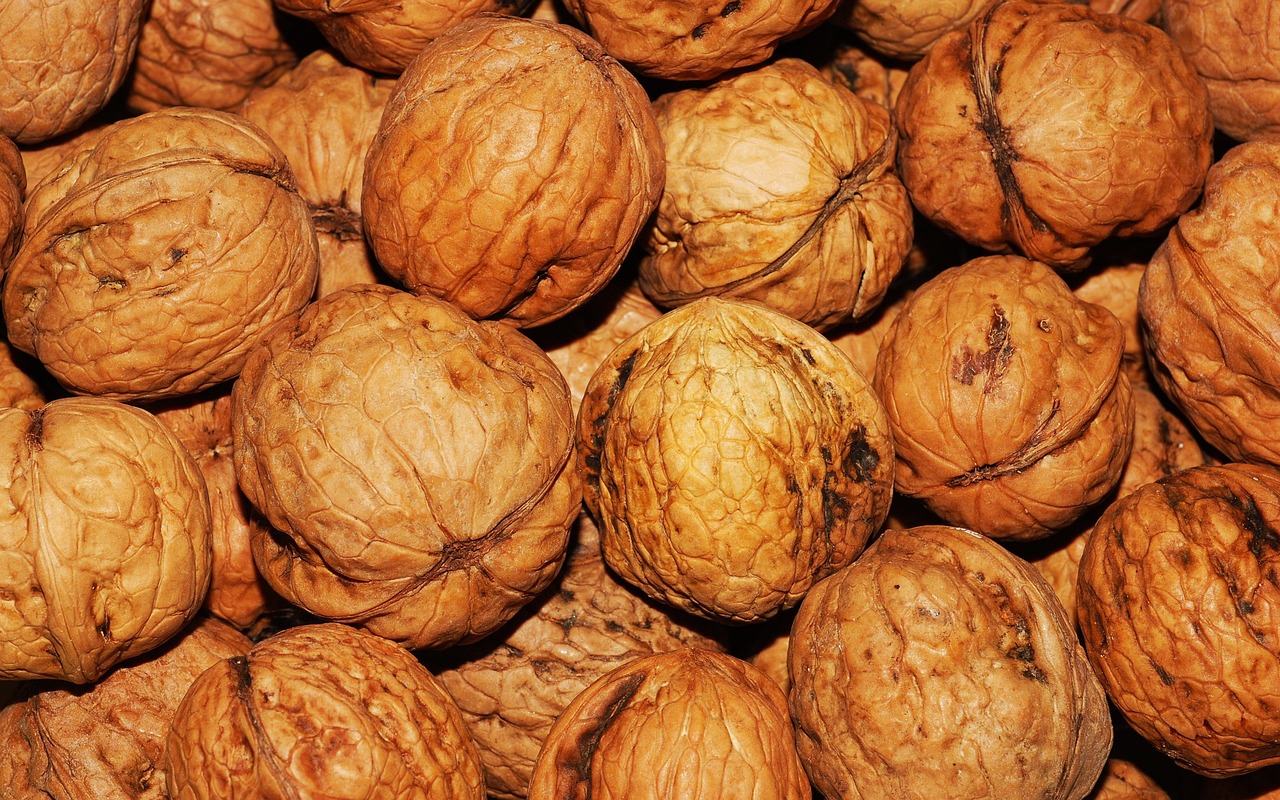 Is Too Much Protein Bad for Older Adults? Separating Fact from Fiction