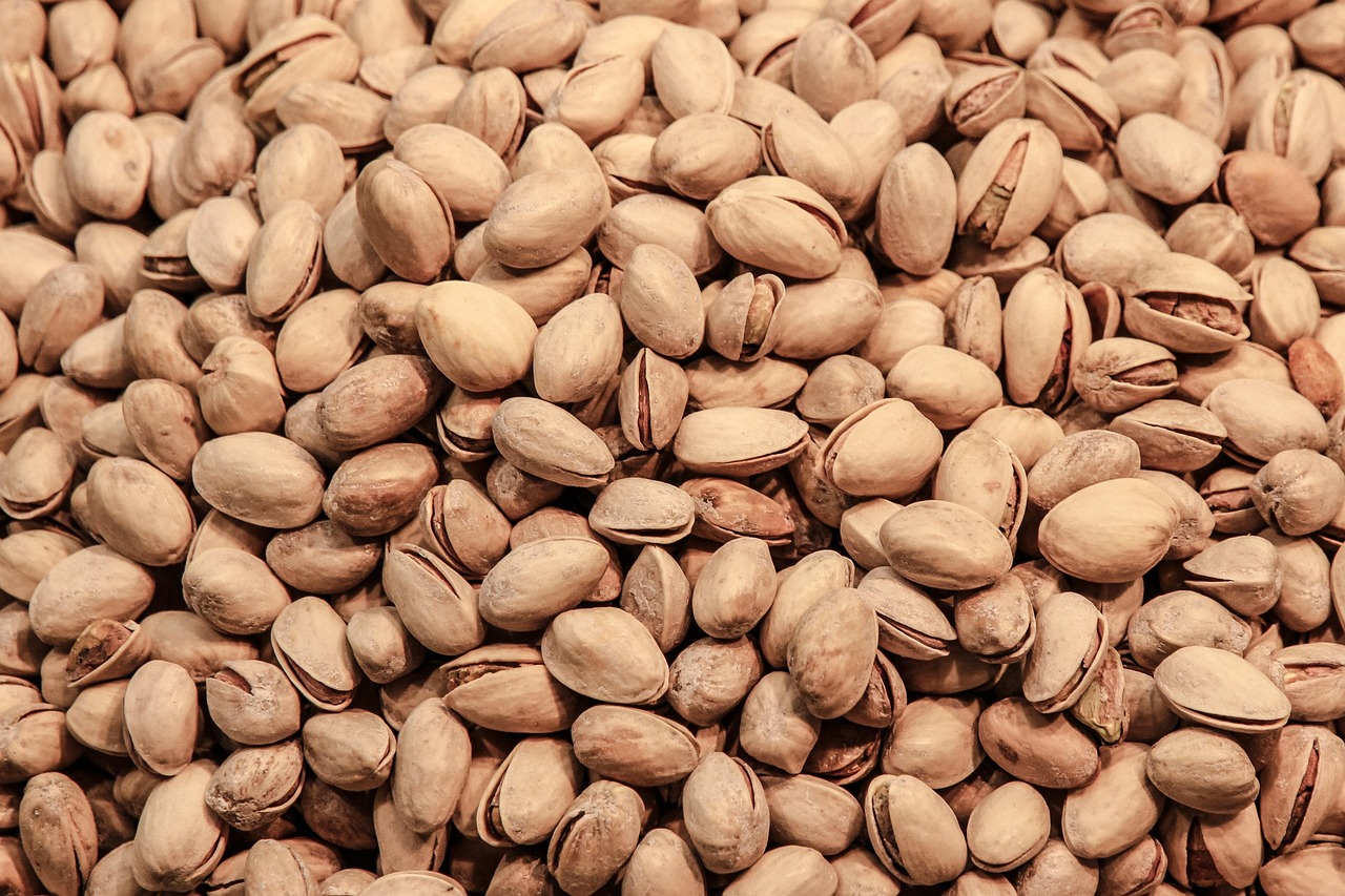 Protein for Recovery: Healing Muscles After Injury or Inactivity
