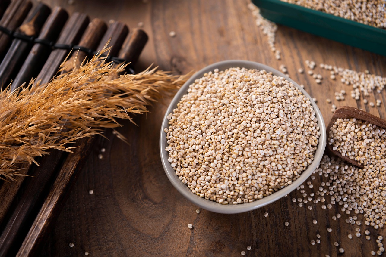 Protein Supplements for Seniors: Whey vs. Plant-Based and When to Use Them