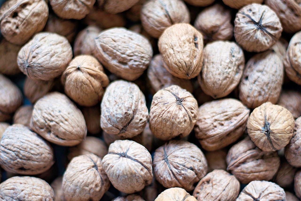 The Best Protein Sources for Muscle Regain After Illness or Surgery (40+)