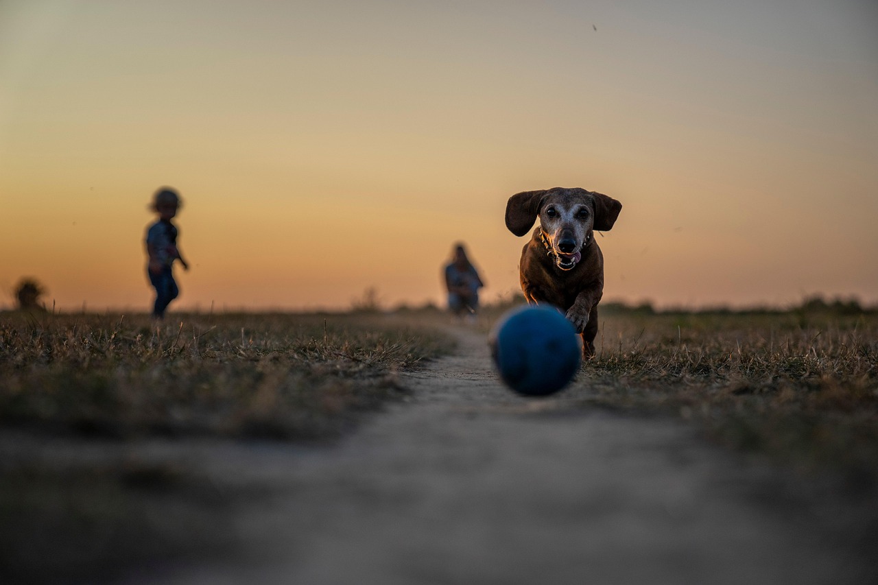 The Link Between Vision, Hearing, and Fall Prevention in Older Adults