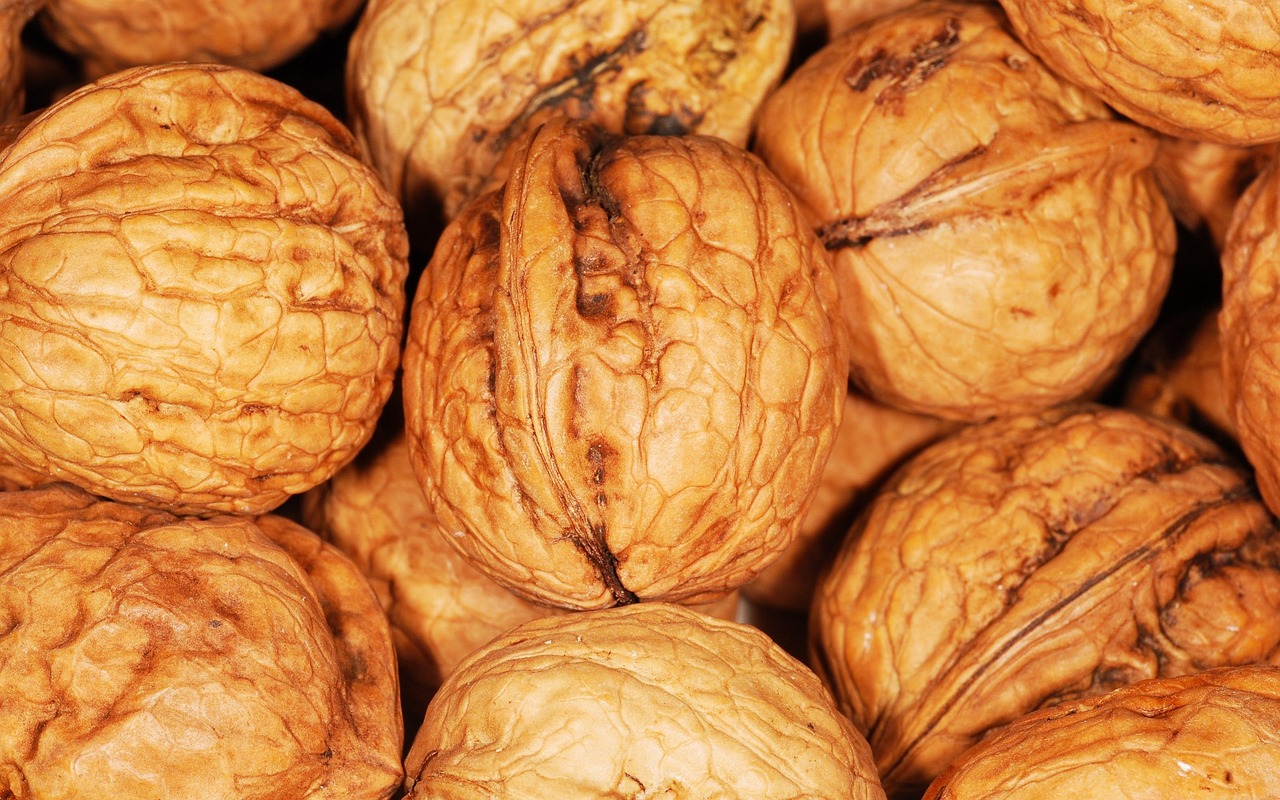 The Role of Protein in Preserving Muscle During Weight Loss for Older Adults