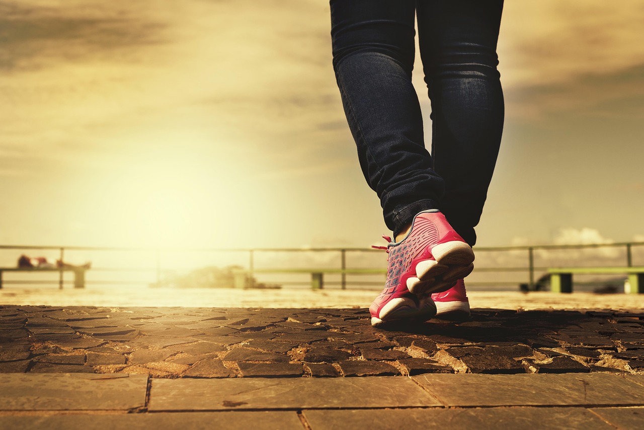 Understanding Sarcopenic Obesity in Menopausal Women