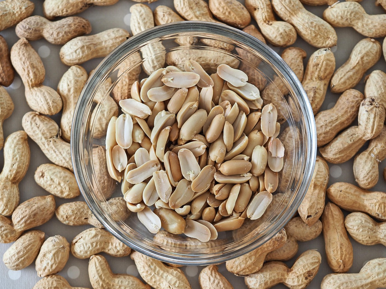 Whey vs. Plant Protein: Which is Best for Older Adult Muscle?